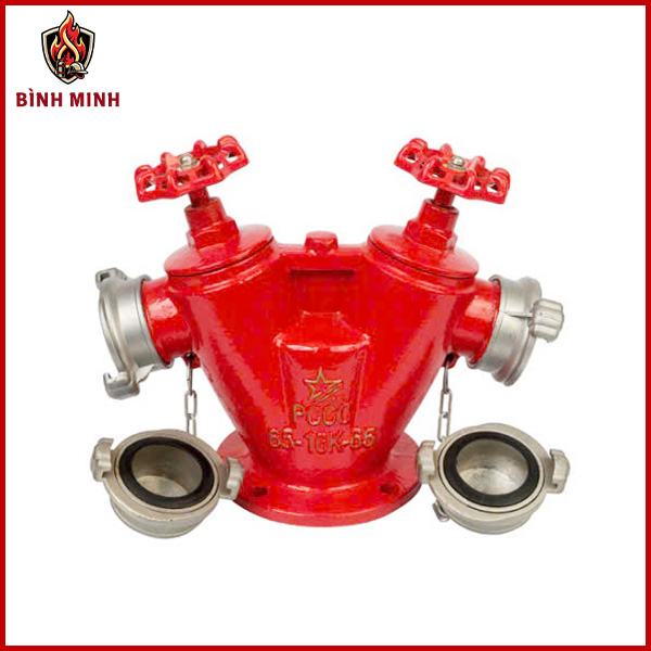 Họng tiếp nước 2 cửa DN65 Ø65mm